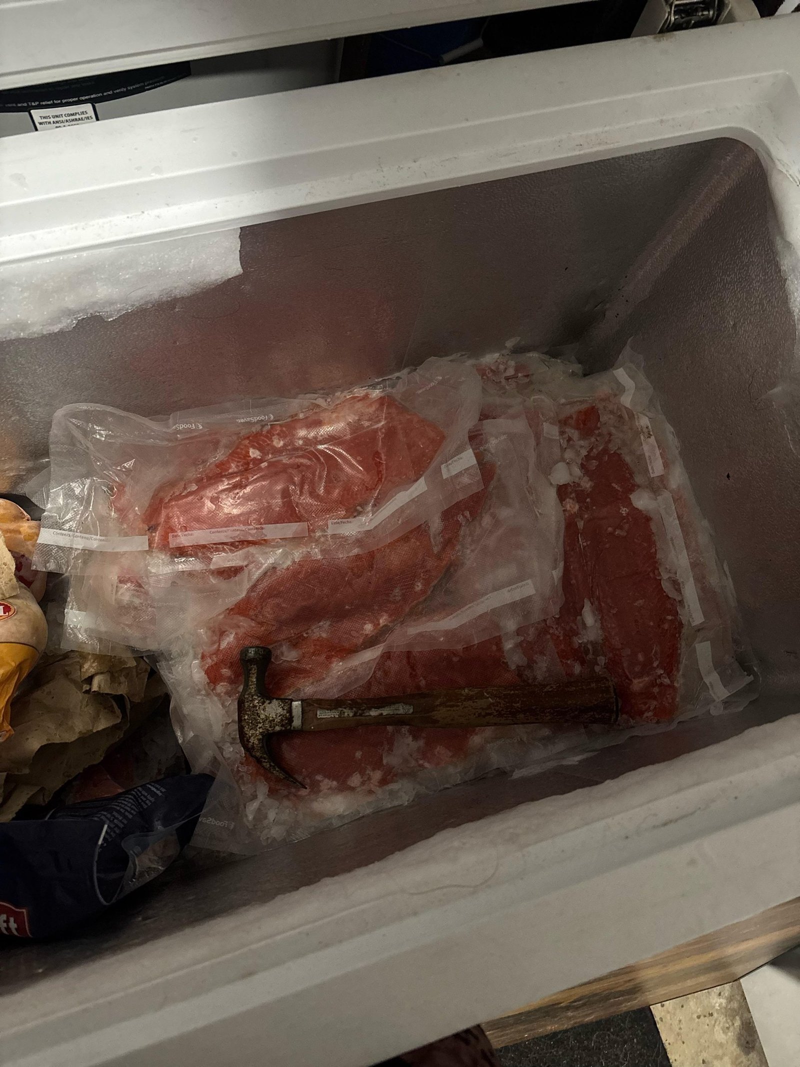 Dispose Freezer How to Dispose of Freezer Full of Rotten Meat: Easy & Safe Steps