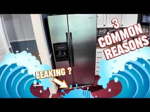 Why is My Refrigerator Leaking Inside? Top Causes & Fixes