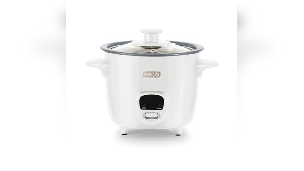 Best Mini Rice Cooker for Travel