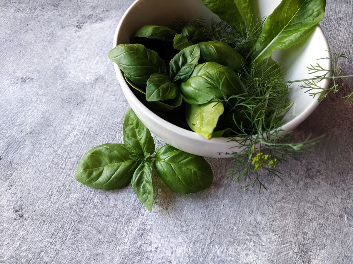 Fresh basil leaves and dill sprigs in a white bowl on a gray countertop