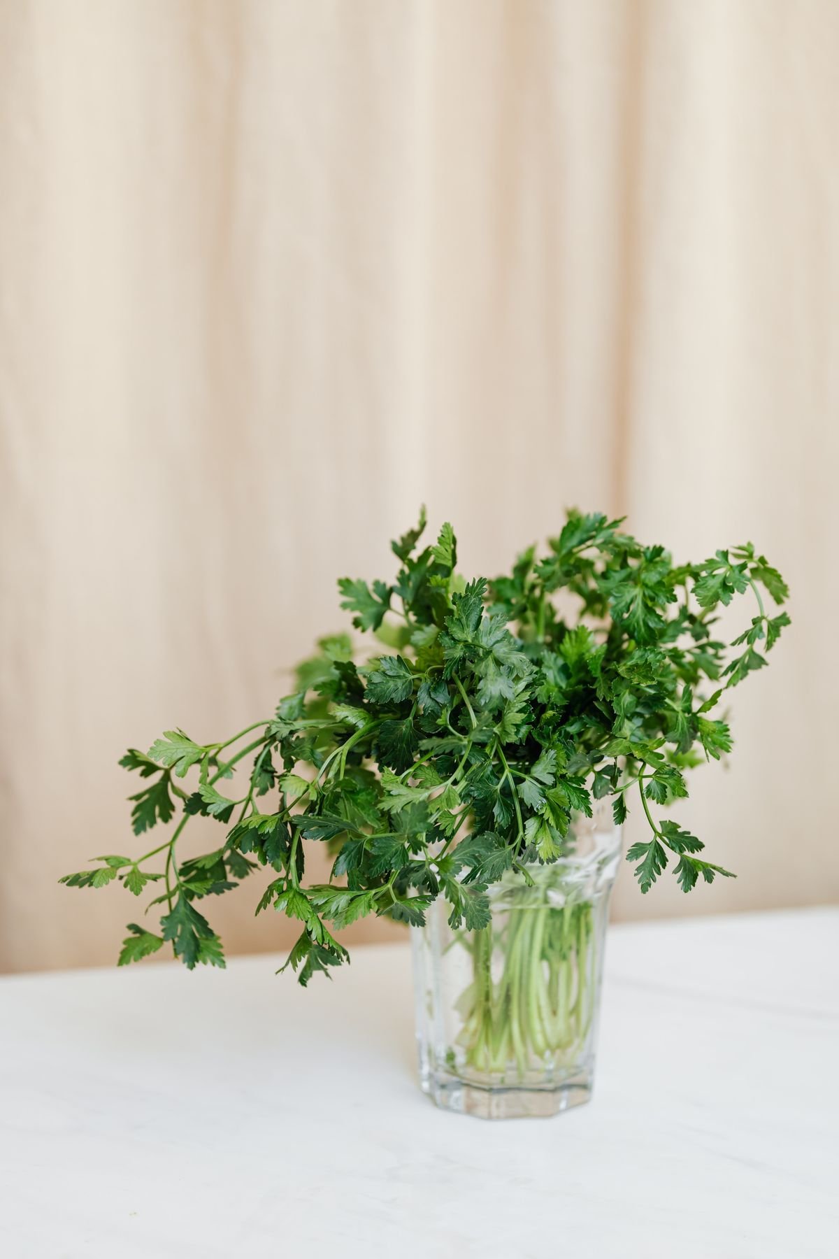 Bunch of fresh parsley standing upright in a glass of water on a white table